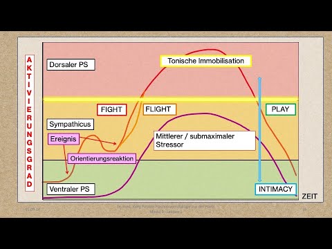 Modul 3 Lektion 2/6: Die Polyvagaltheorie.