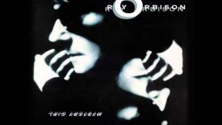 Roy Orbinson  -Windsurfer