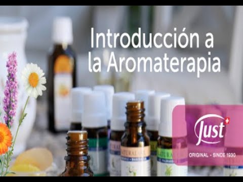 download lagu mp3 mp4 Www Swissjustmexico Com, download lagu Www Swissjustmexico Com gratis, unduh video klip Www Swissjustmexico Com