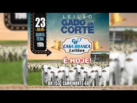 LEILÃO GADO DE CORTE CASA BRANCA LEILÕES -  CAMPINORTE - GO  23 /07 / 2026