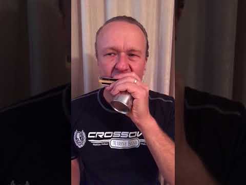 MANNISH BLUES - Etude/study song written and played by: Joe Filisko