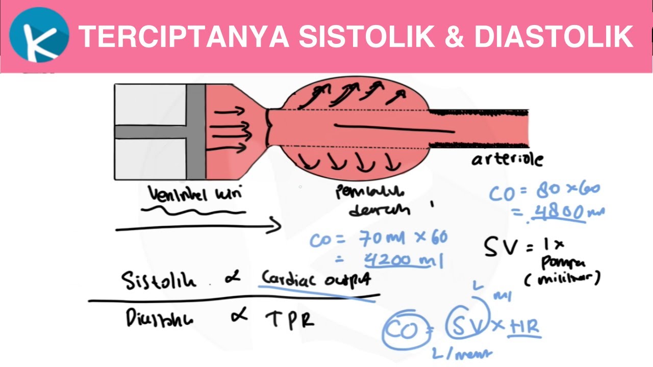 Patofisiologi Hipertensi (1/6) - Bagaimana Sistolik dan Diastolik Tercipta