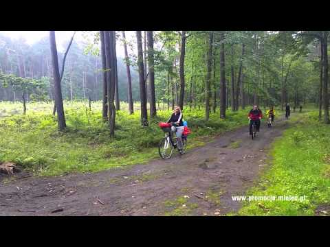 V Mielecki Leśny MiniRajd Rowerowy 21 VI 2015 r.
