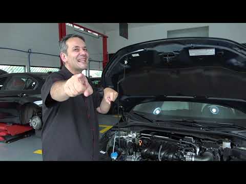 Is New City worth the asking price?