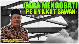 Download lagu How to Treat Sawan (Seizures/Possession) - KH ABDUL GHOFUR mp3 Download lagu How to Treat Sawan (Seizures/Possession) - KH ABDUL GHOFUR mp3