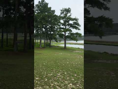 View of the lake, peaceful ✌️