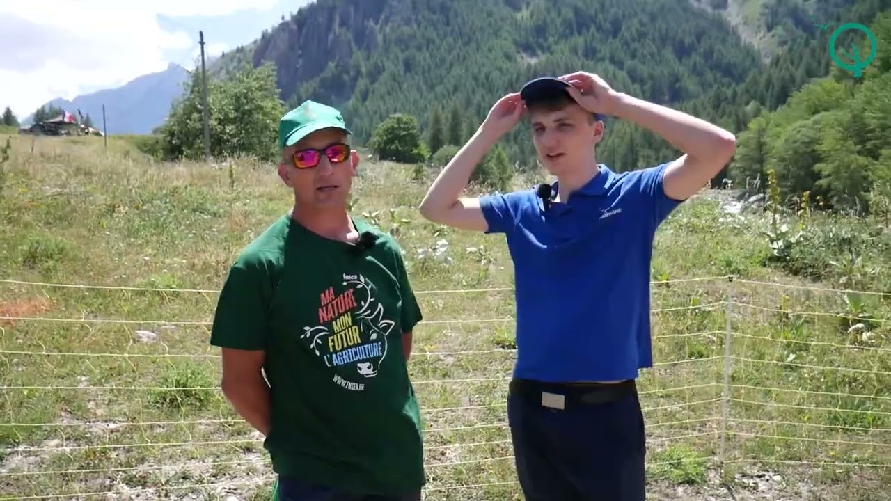 Mister Wallon sur le Tour de France : étape 11 à Valloire - épisode 2/2