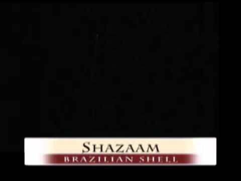 SHAZZAM (MORTAR) by Rocket Fireworks Canada