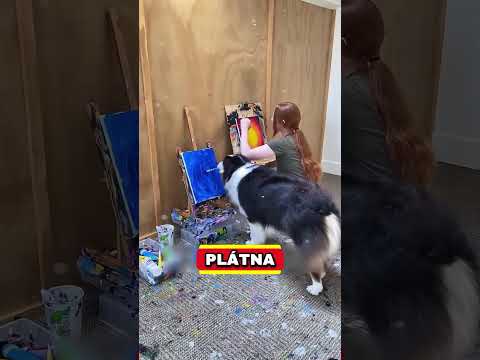 PES se NAUČIL MALOVAT jako PROFÍK! 🎨😲 (@my_aussie_gal/IG)