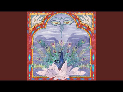 Saúde Paz E Harmonia - Pauã