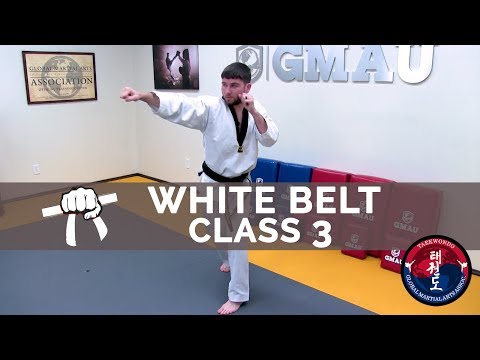 Taekwondo Follow Along Class - White Belt - Class #3 thumbnail