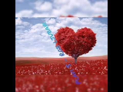 Plavi 5 - Rob ljubavi