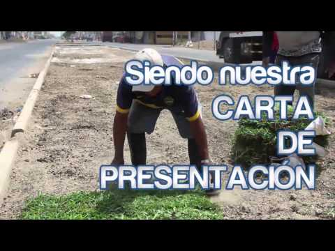 Mejoramos nuestras &Aacute;reas Verdes