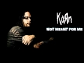 Not Meant For Me : Jonathan Davis & Richard ...