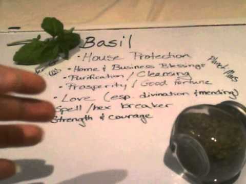 download lagu mp3 mp4 Spell Basil, download lagu Spell Basil gratis, unduh video klip Spell Basil