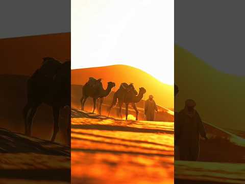 Islamic beautiful shorts 💙🕋💙 #trending #viralvideo #foryou #saudiaarbia