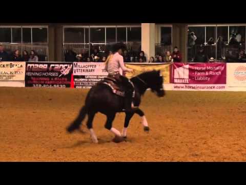 160227 Josiane Gauthier on Montanas Chicanic Open Derby