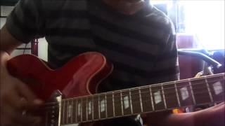 Spindrift  The New West Cover Guitar