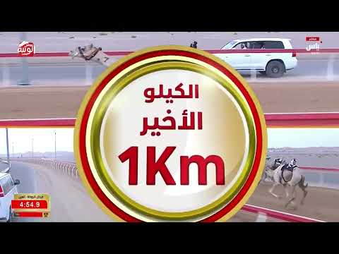 ش 2 (الشارد) لـ احمد راشد الهادفي الكتبي 6:30:86 ، مهرجان العين 2026/08/09  زمول الروضة