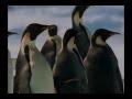 March Of The Penguins OST - The Harshest Place On Earth by Alex Wurman
