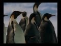 March Of The Penguins OST - The Harshest Place ...