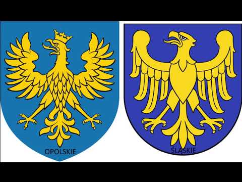 Duo Bayer's - Biesiada