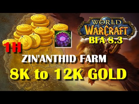 1H Farm Zin'anthid - Gold Making (WoW 8.3)