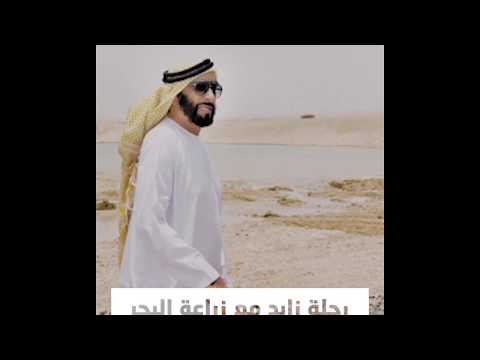 زايد وأشجار القرم