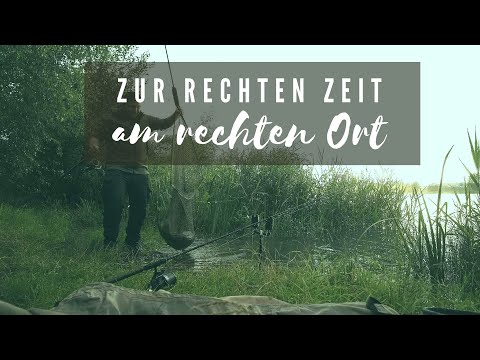 Karpfenangeln - Zur rechten Zeit am rechten Ort