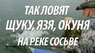 Великолепная рыбалка на щуку северная сосьва