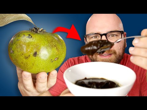 Black Sapote - The Fruit that TASTES LIKE CHOCOLATE PUDDING! Does IT??