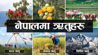 Seasons In Nepal | ऋतुहरुको बारेमा जानौ