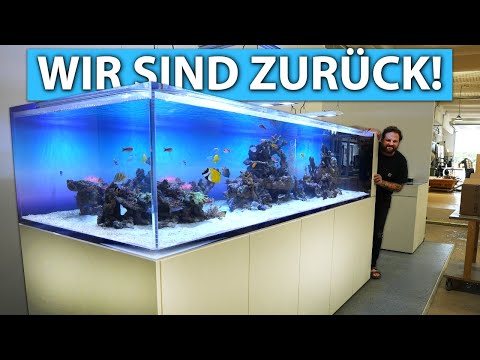 Wir sind zurück! - Unser neues NEW WAVE Schaubecken 🐟
