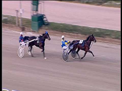 Trotto 06/12/2019 - prova di qualifica