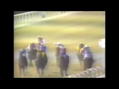 Dubai World Cup 1996 - Cigar
