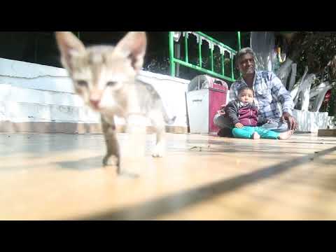 #khursheed Bache#k#pass#billi#k#bachche#khursheed_hussain_f.m.ko.sibscraibe.kre all.firends