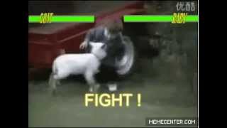 Short gif: Mortal Kombat | Goat vs Baby!