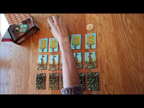 Vista previa del video