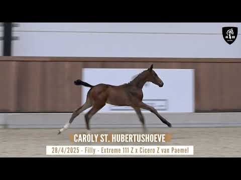 CAROLY ST. HUBERTUSHOEVE
