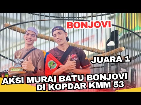JUARA 1 !! AKSI MURAI BATU BONJOVI DI KOPDAR KMM 53 - Mr ANDREAS PUZZEL BINTARO SF
