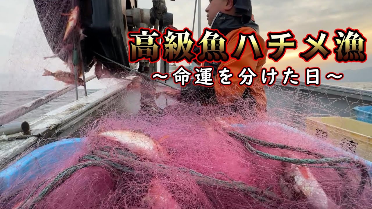 【高級魚が数珠つなぎ！】富山県の刺し網漁【泊漁協の漁師達】