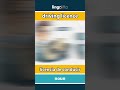 driving licence - licencia de conducir video thumbnail