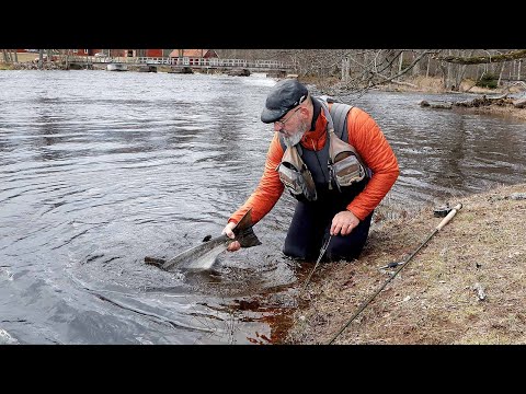 River Em Opening Days 2020