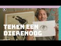 Een dierenoog tekenen | Doe Het Zelf