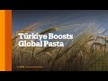 Turkish Durum Wheat Global Market Game Changer