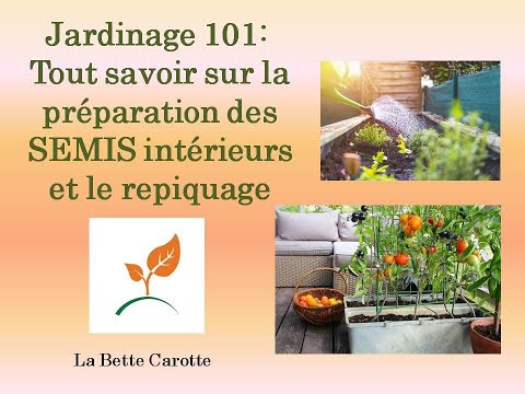 , title : 'Jardinage 101 pour débutants : tout savoir sur la préparation des semis intérieurs et le repiquage'