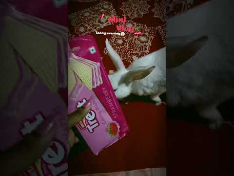 Today evening mini vlog ❤️‍🩹☺️🍂#minivlogshorts #music #bengalivlog #viralshorts #onthisday