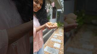 ഉരുളൻക്കല്ല് കിലോ കണക്കിന് മുറ്റത്ത്‌ വിതറിയാലോ✨️#pebble #yardmakeover #banglorestone #stone