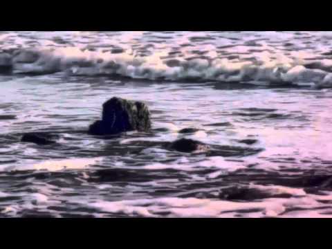 ka-meal - Embrace of Paradise