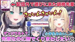配信外で遊びに来た胡桃のあが小学生みたいに暴れ回り爆笑する藍沢エマw【切り抜き/胡桃のあ/藍沢エマ/夜乃くろむ /ぶいすぽ/雑談/OW】
